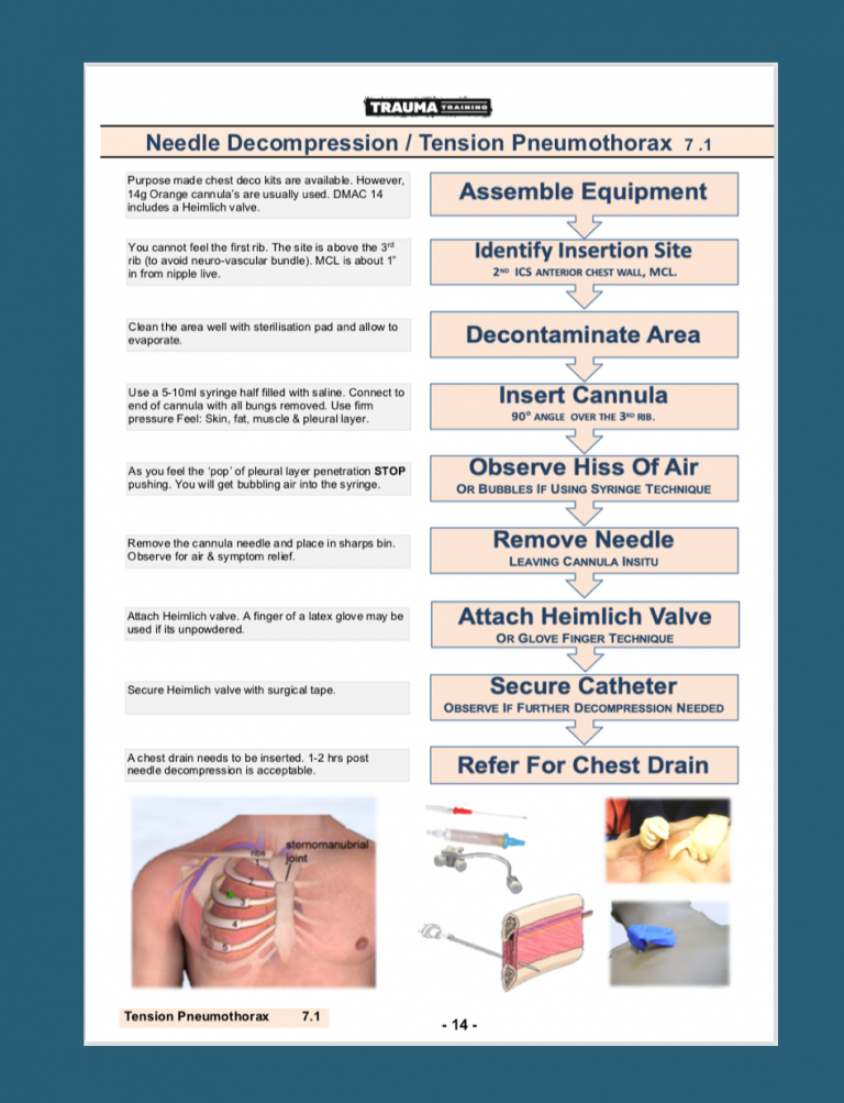 DMT Skills Booklet - Trauma Training